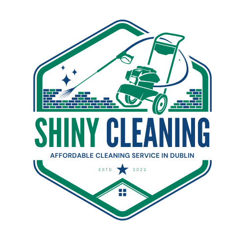 Shiny Cleaning Logo