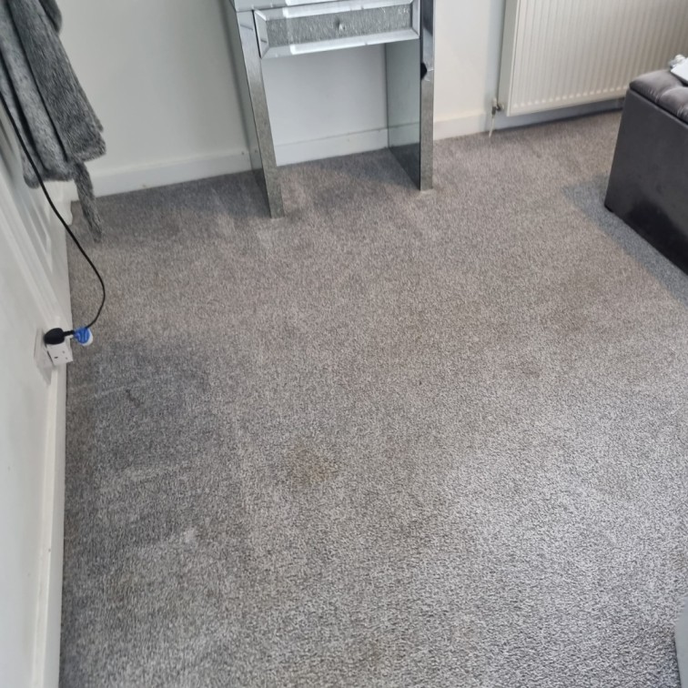 Carpet Cleaning Dublin After