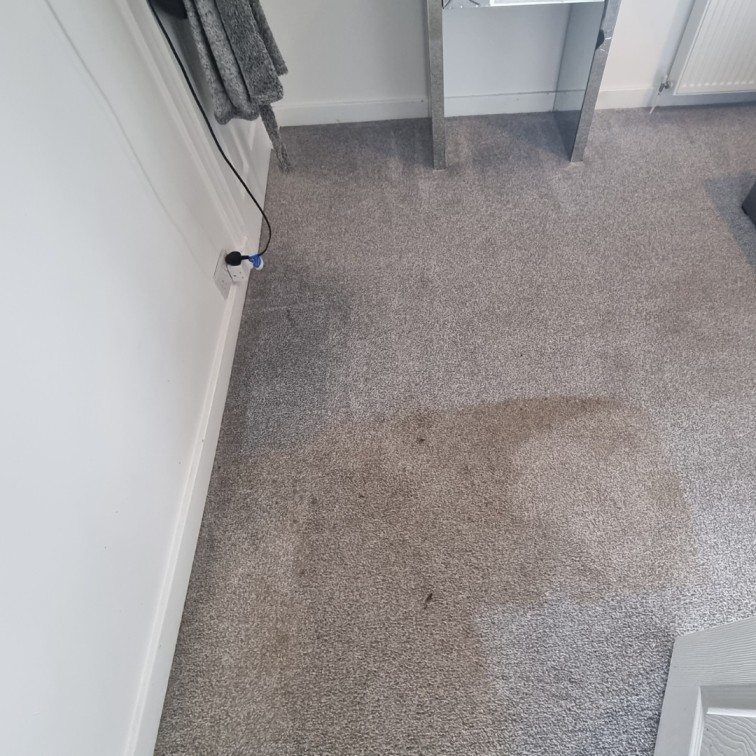 Carpet Cleaning Dublin Before