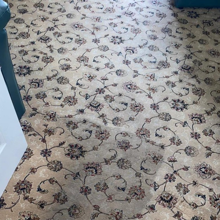 Carpet Cleaning Service Dublin After