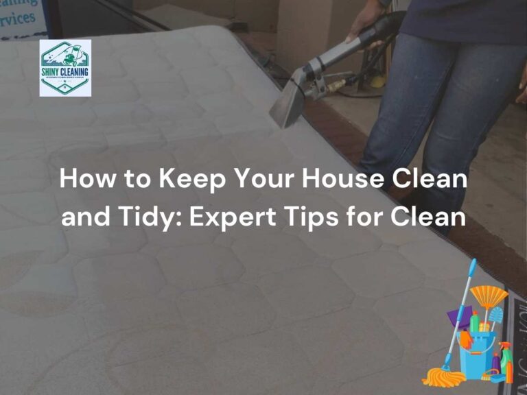 How to Keep Your House Clean and Tidy Expert Tips for Clean Blog post cover image