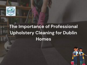 The Importance of Professional Upholstery Cleaning for Dublin Homes blog post featured image.
