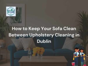 There is a sofa and on it is written How to Keep Your Sofa Clean Between Upholstery Cleaning in Dublin